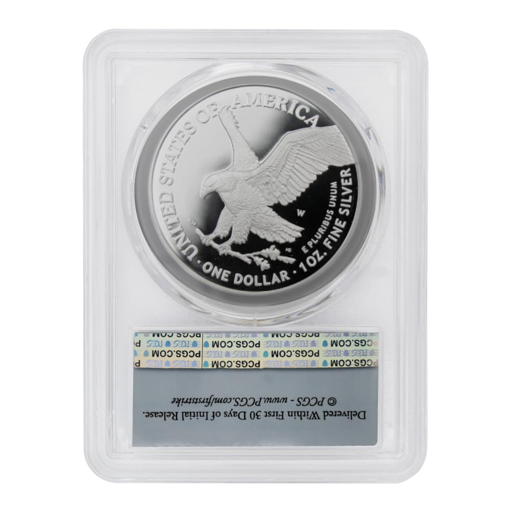 1 oz American Silver Eagle Coin N6997