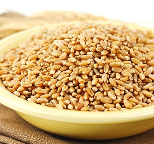 Hard White Spring Wheat Berries, 25 Lb. Bag T705