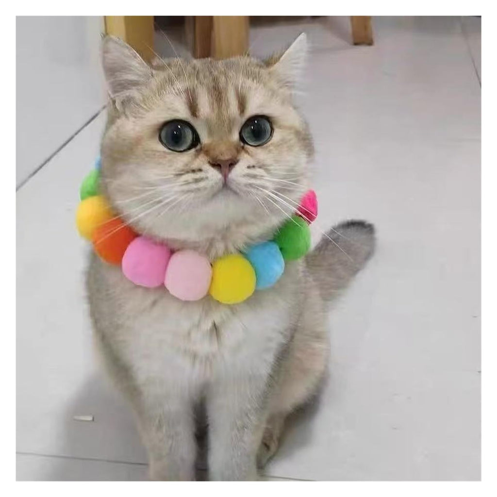 Dog Bow Tie Collar D302