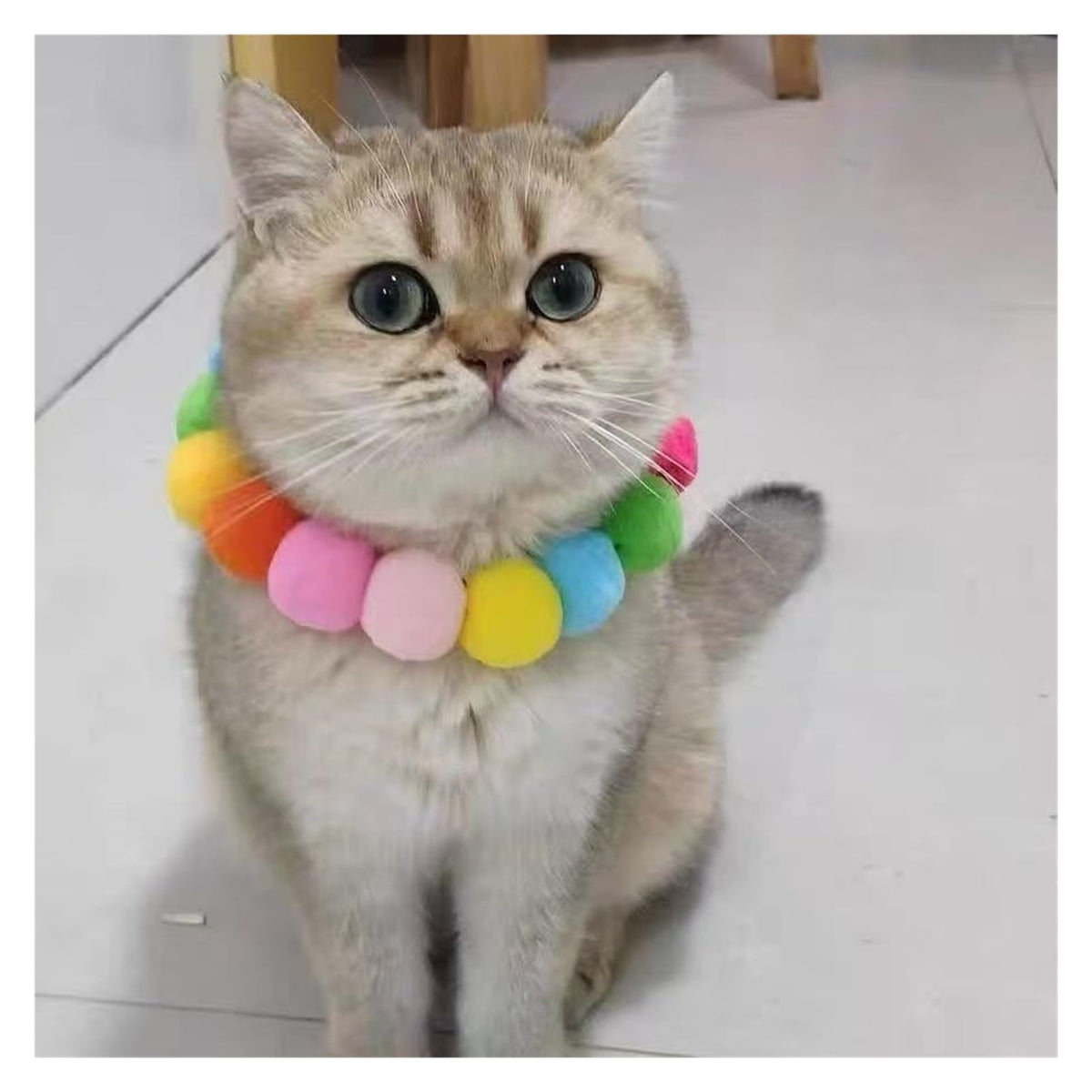 Dog Bow Tie Collar D302
