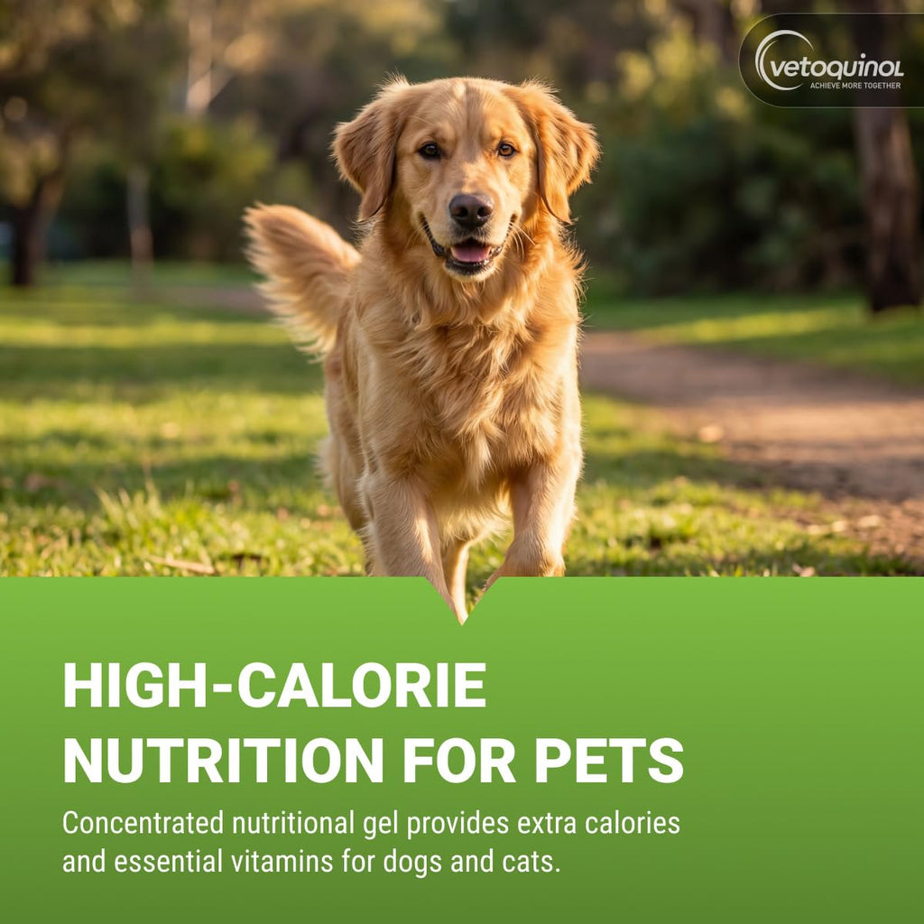 High-Calorie Gel for Cats and Dogs 4.25 oz T3730