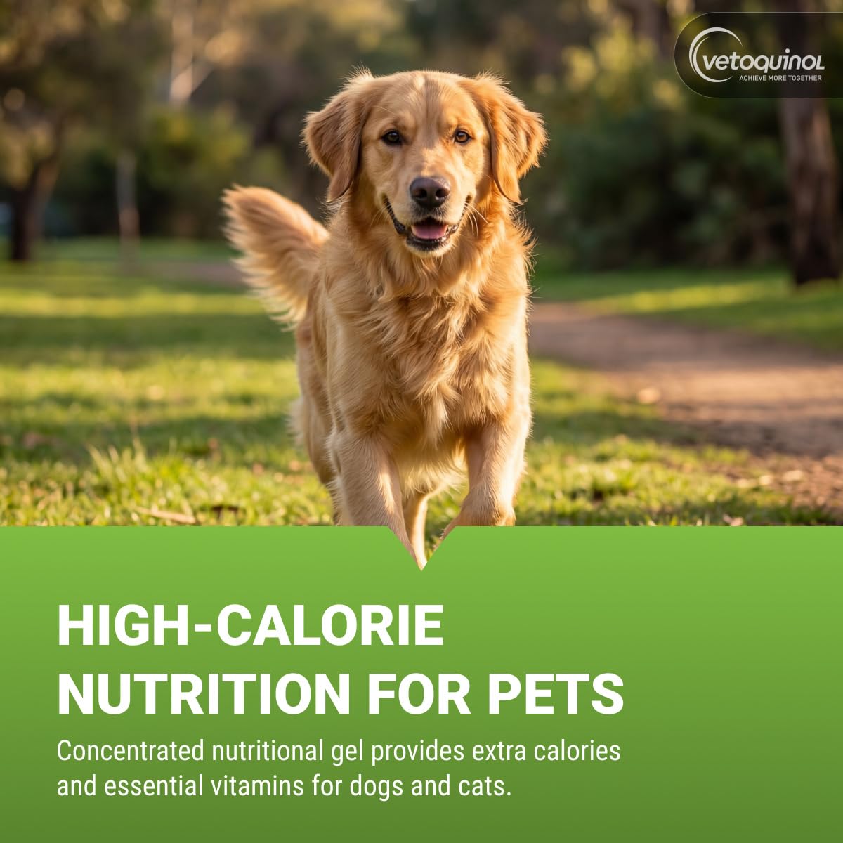 High-Calorie Gel for Cats and Dogs 4.25 oz T3730