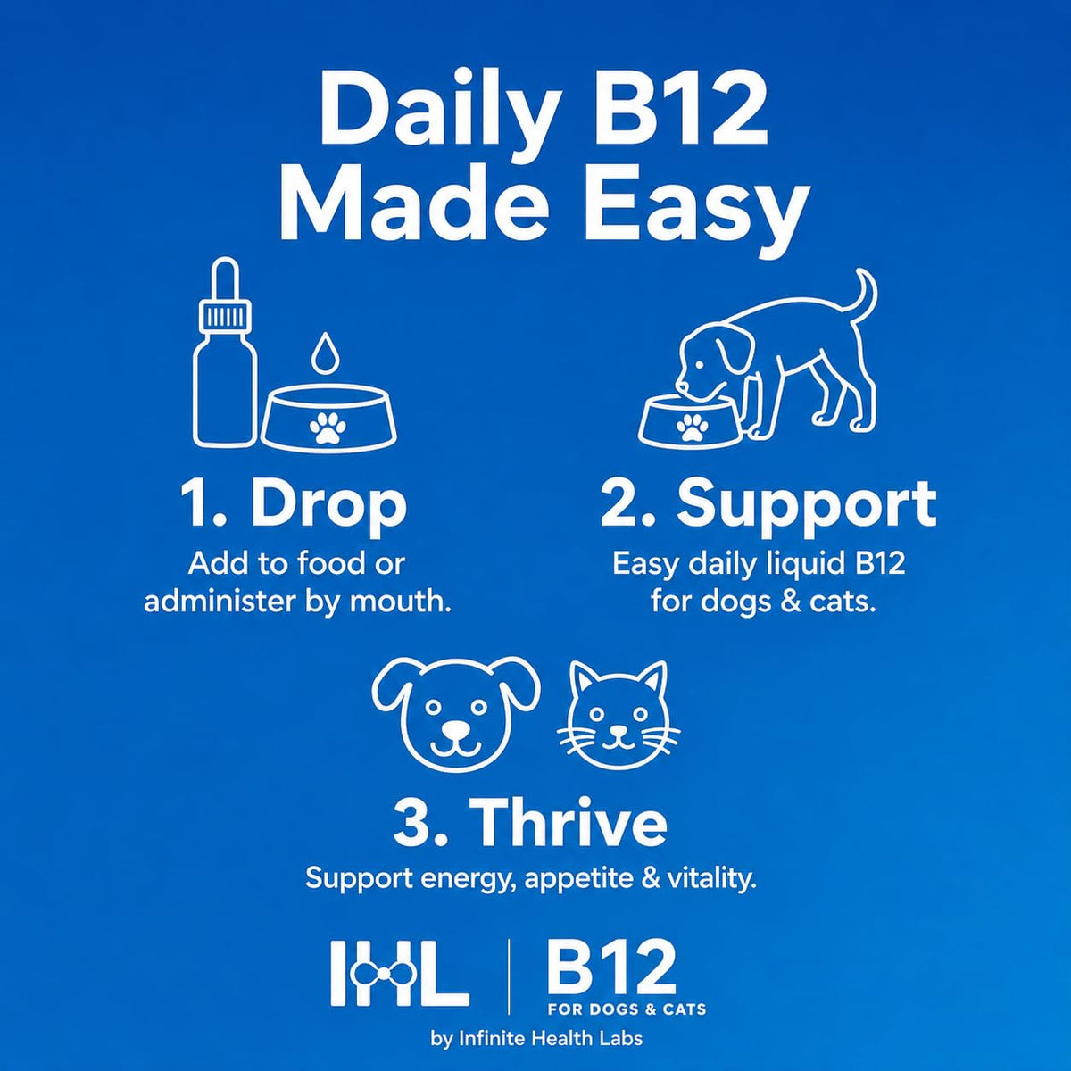 Vitamin B12 for Dogs & Cats, Methylcobalamin, 1 oz N5793