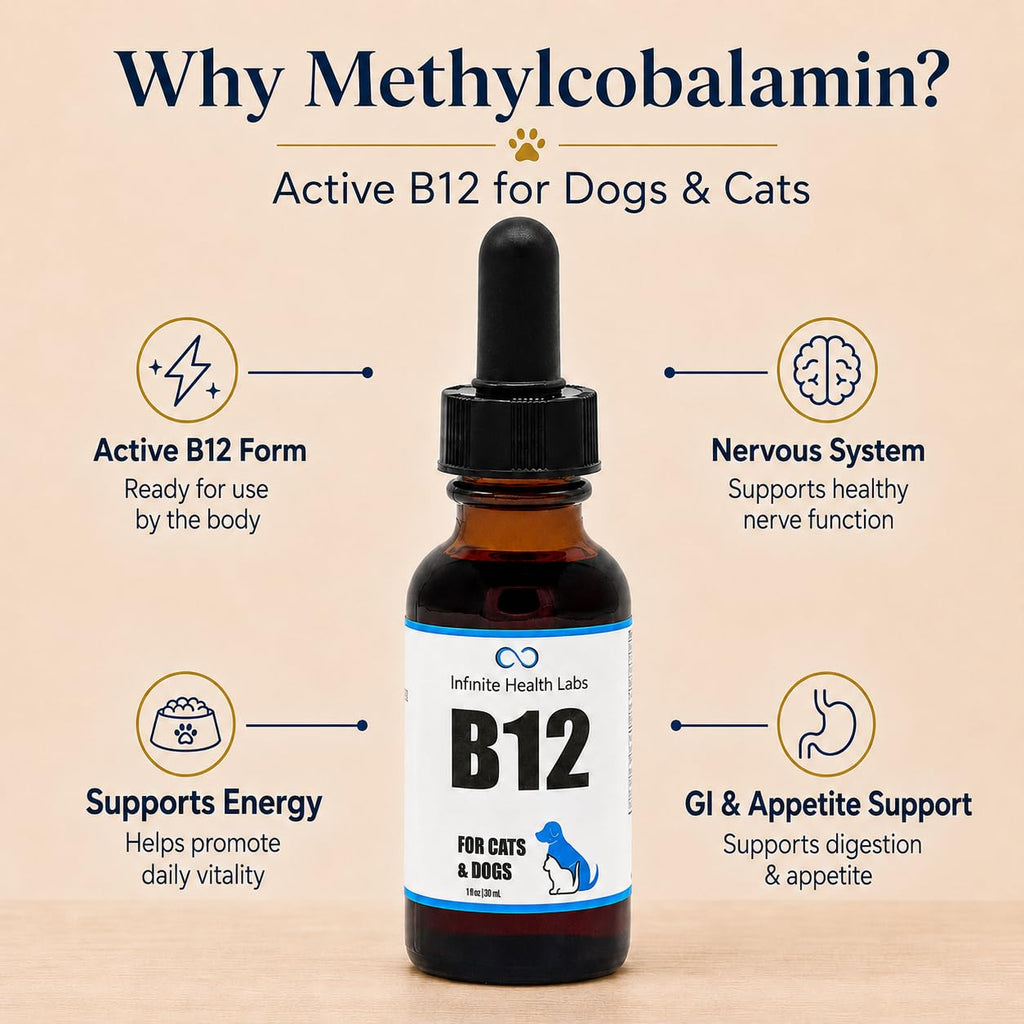 Vitamin B12 for Dogs & Cats, Methylcobalamin, 1 oz N5793
