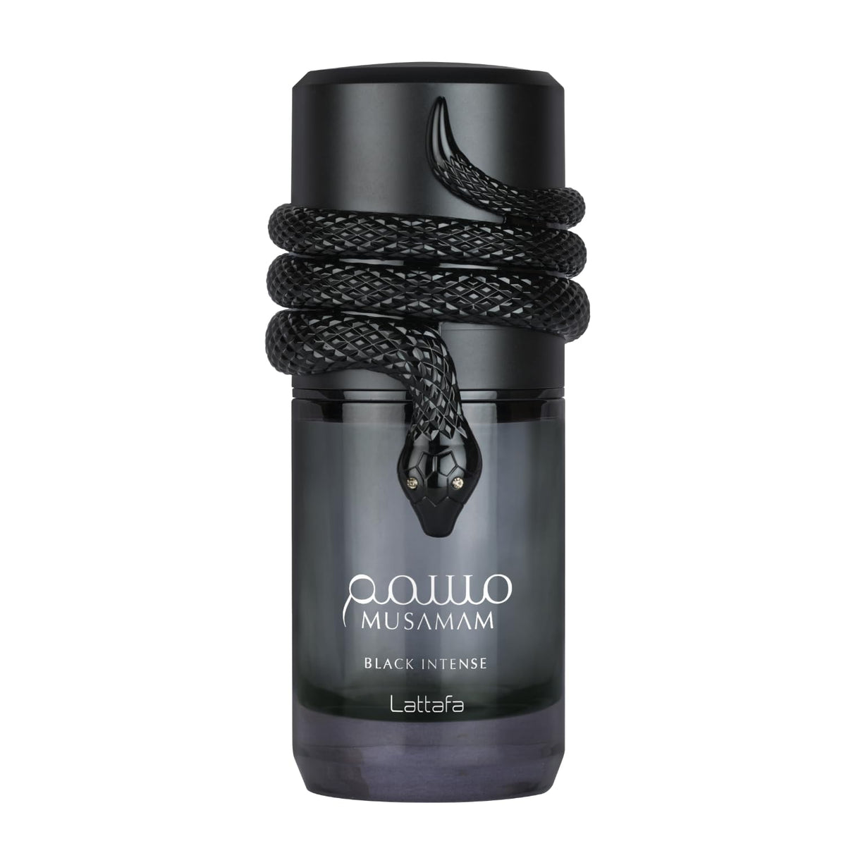 Black Spicy Woody Amber Eau de Parfum Spray 3.4 Ounce / 100 ml Z166932