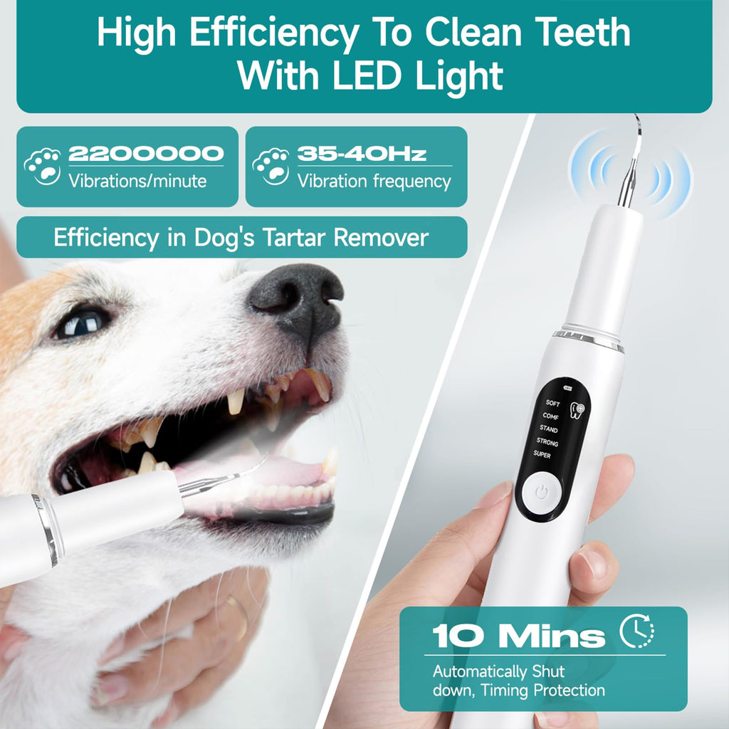 Dog Plaque Remover with LED Light Electric Toothbrush I7885