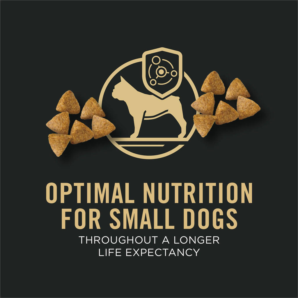 Chicken & Rice Small Breed Dry Dog Food C80474