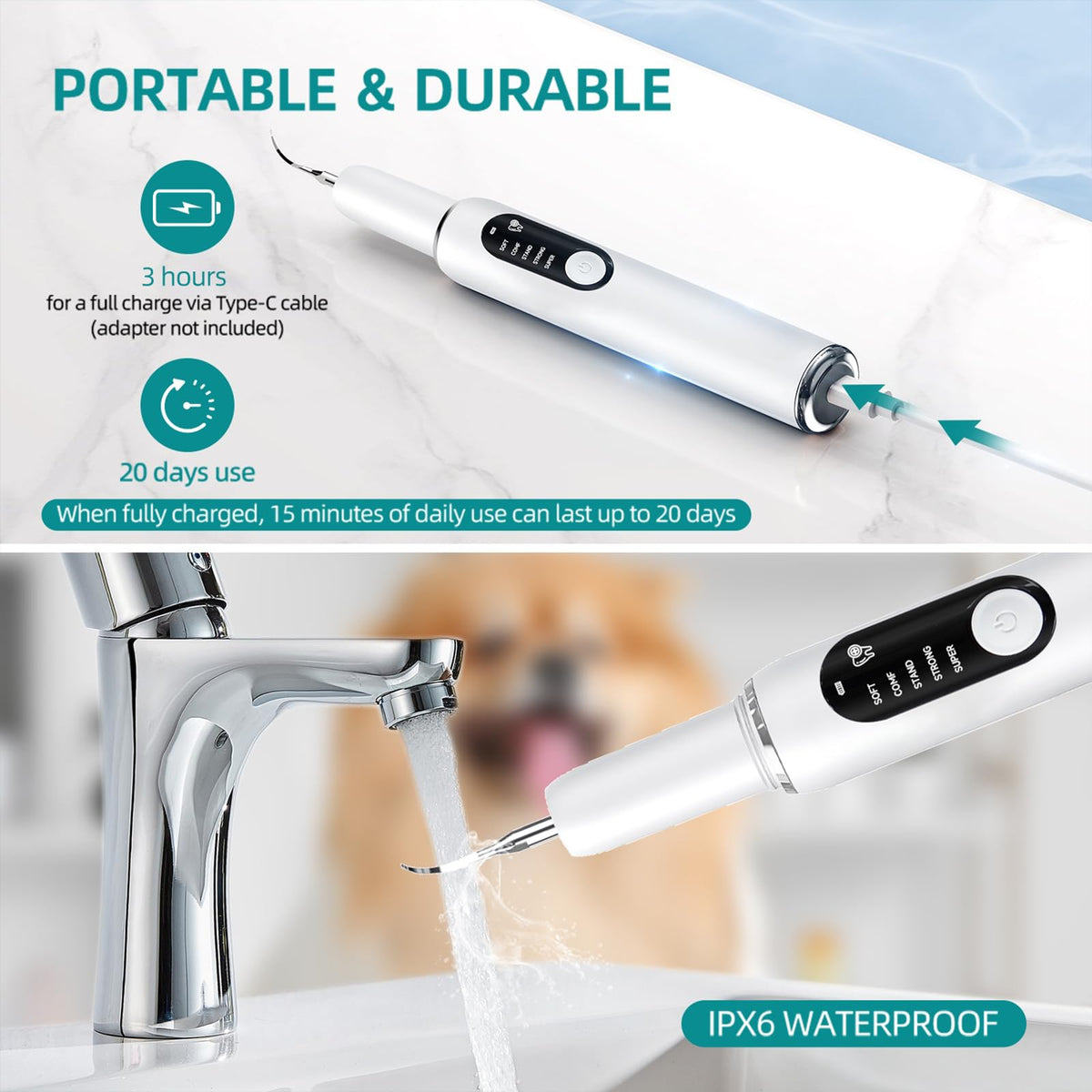 Dog Plaque Remover with LED Light Electric Toothbrush I7885