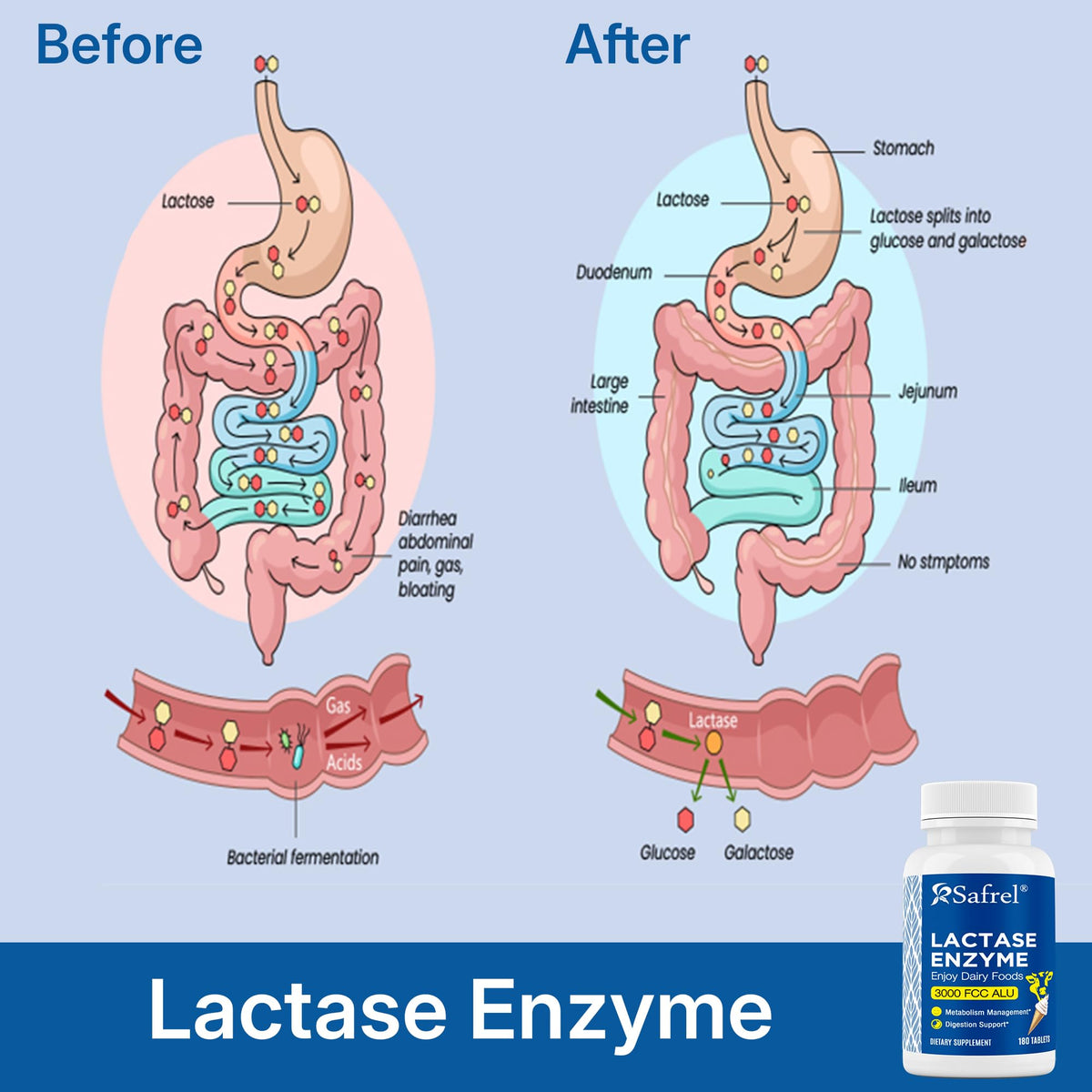 Unflavored Lactase Enzyme Tablets 180 Ct B73510