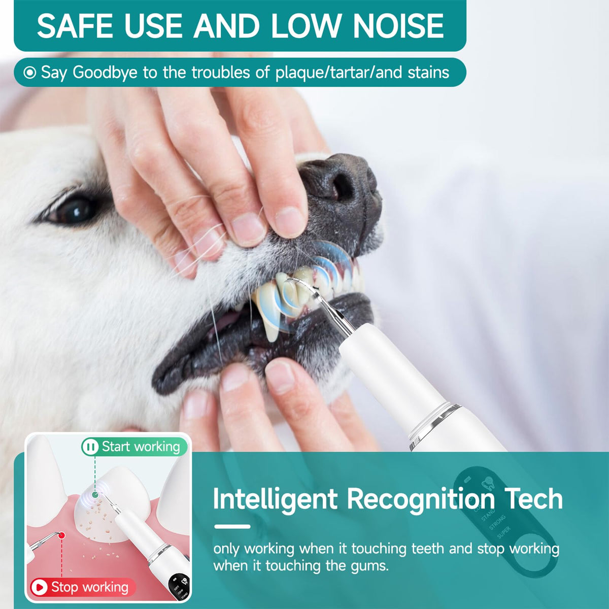 Dog Plaque Remover with LED Light Electric Toothbrush I7885