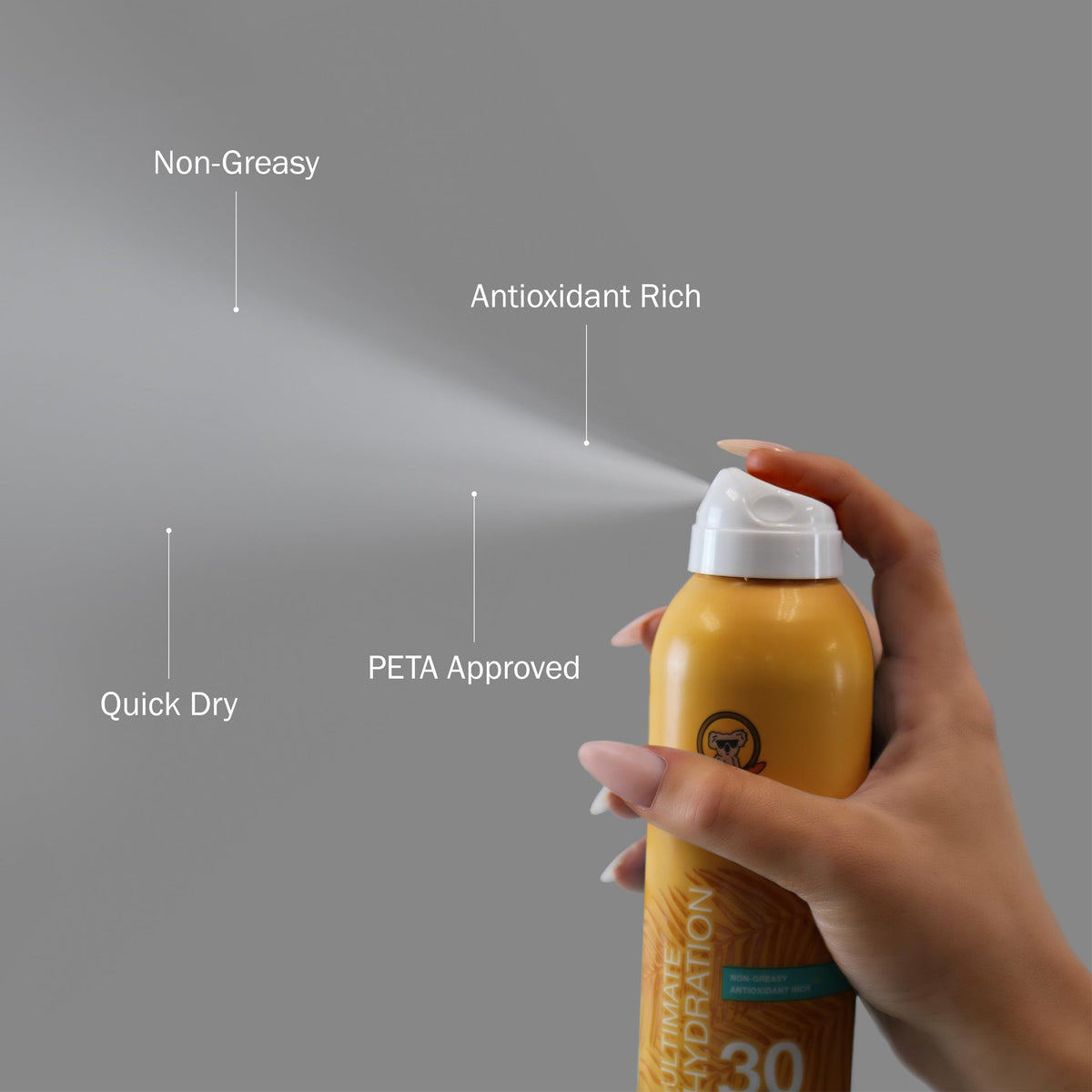 SPF 30 Continuous Spray Sunscreen C6497