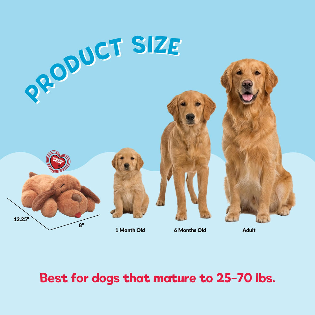 Heartbeat Toy for Medium Breeds Y872