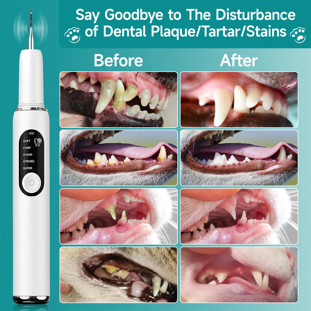 Dog Plaque Remover with LED Light Electric Toothbrush I7885