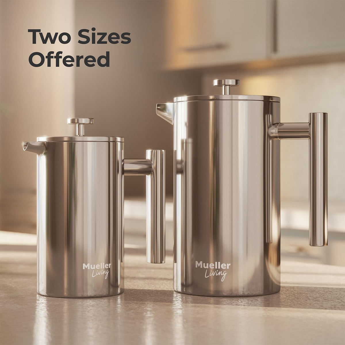 20oz Stainless Steel French Press Coffee Maker O4766