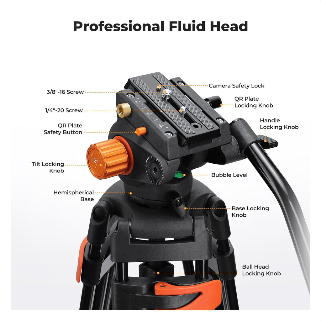 80" Video Tripod with Fluid Head N6820