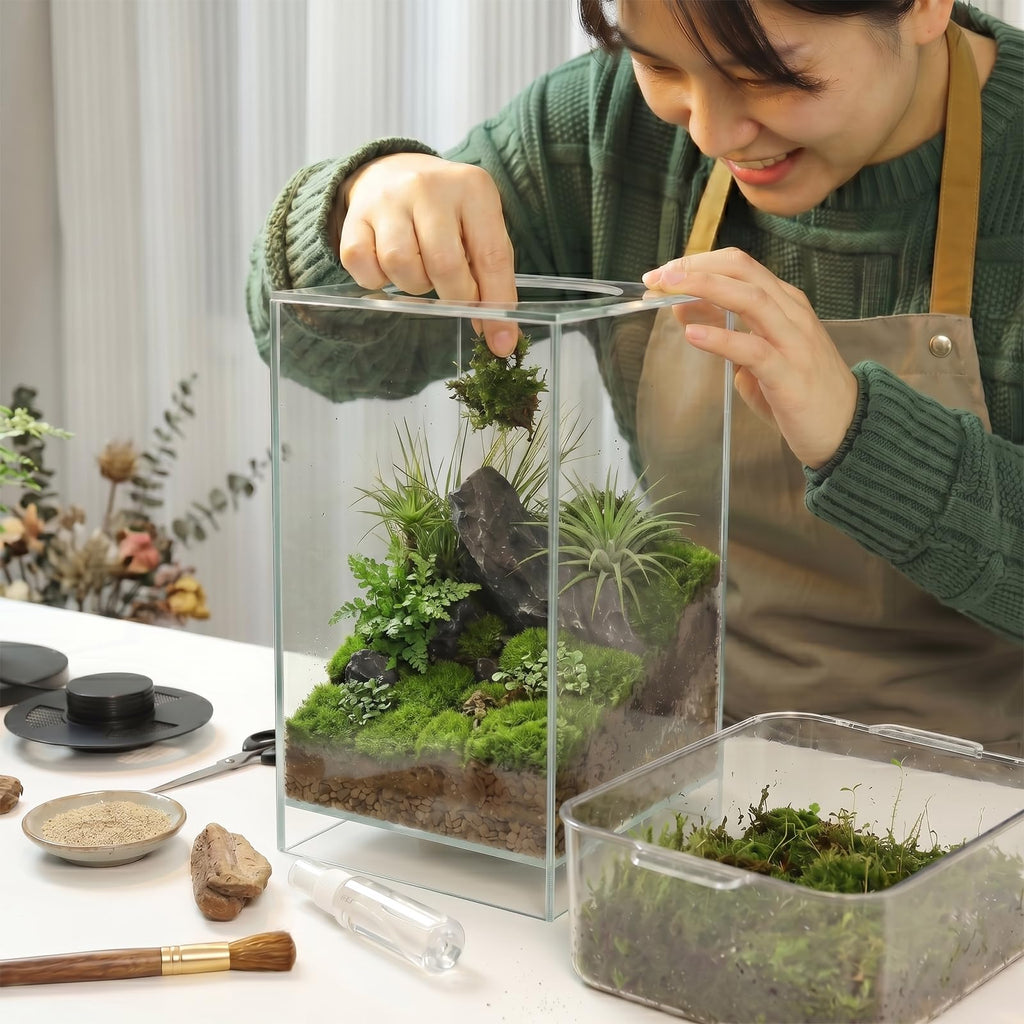 Glass Plant Terrarium with Grow Light J7051