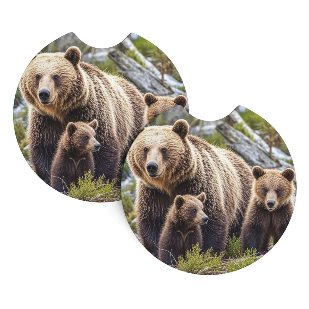 Black Drink Coasters with Metal Holder Set of 2 T39598