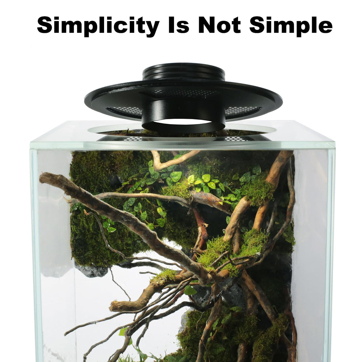 Glass Plant Terrarium with Grow Light J7051