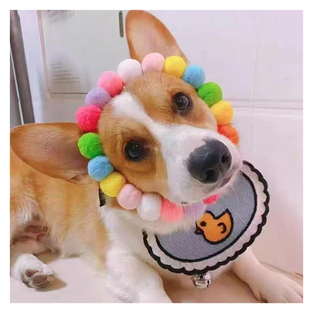 Dog Bow Tie Collar D302
