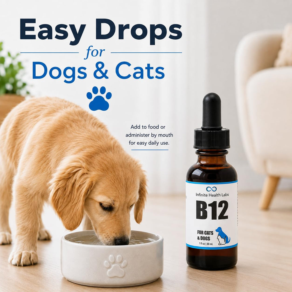 Vitamin B12 for Dogs & Cats, Methylcobalamin, 1 oz N5793