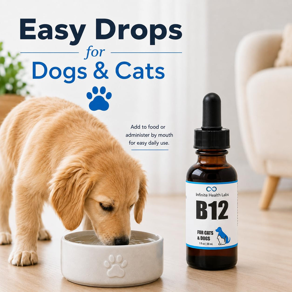 Vitamin B12 for Dogs & Cats, Methylcobalamin, 1 oz N5793