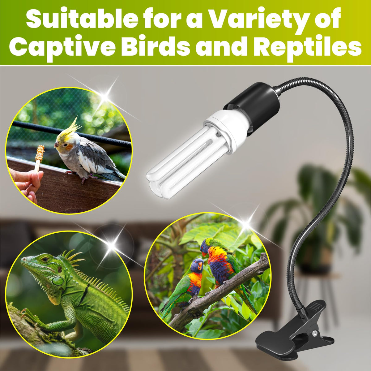 Bird Cage Lighting Combo Kit, Clip Lamp with UVB 2.4 20W Compact Fluorescent Bulb X42880