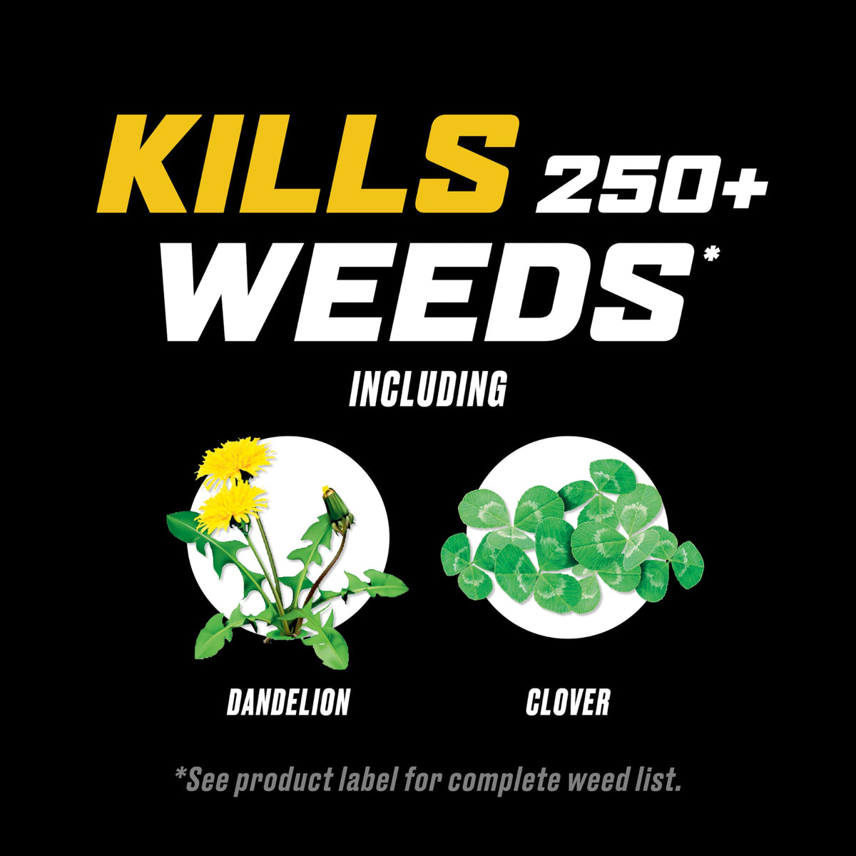 Ortho WeedClear Weed Killer for Lawns with Comfort Wand, 1 gal. B7293