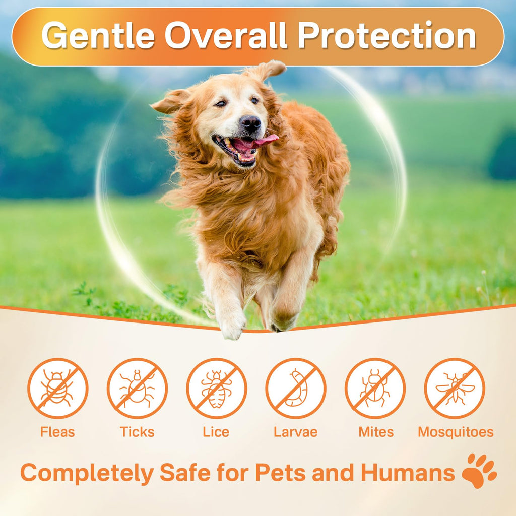 Flea and Tick Prevention for Dogs Chew F249
