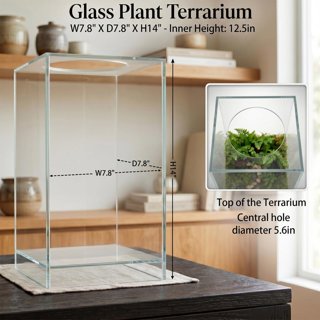 Glass Plant Terrarium with Grow Light J7051