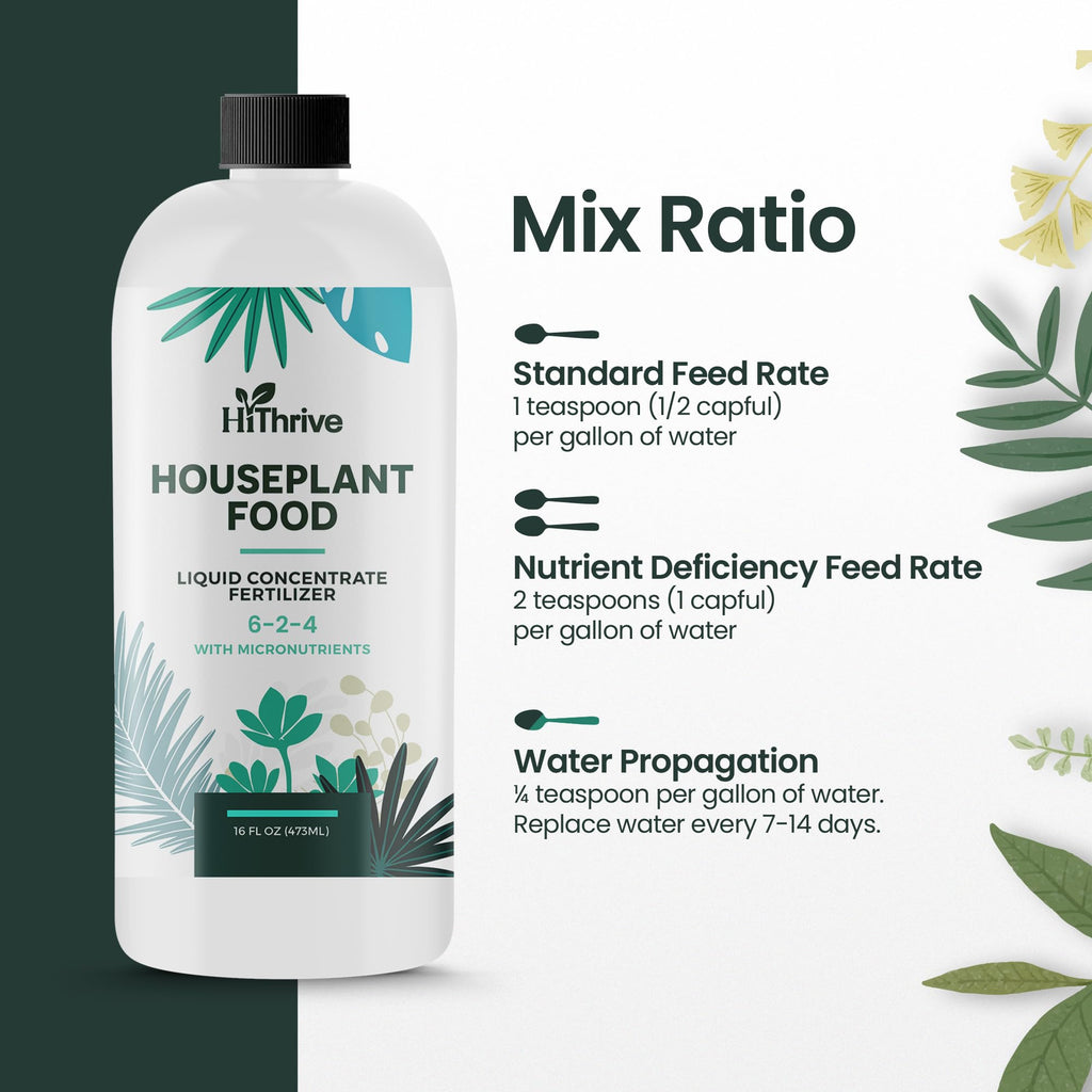 16oz All Purpose Concentrated Indoor Plant Fertilizer 6-2-4 NPK Z247749