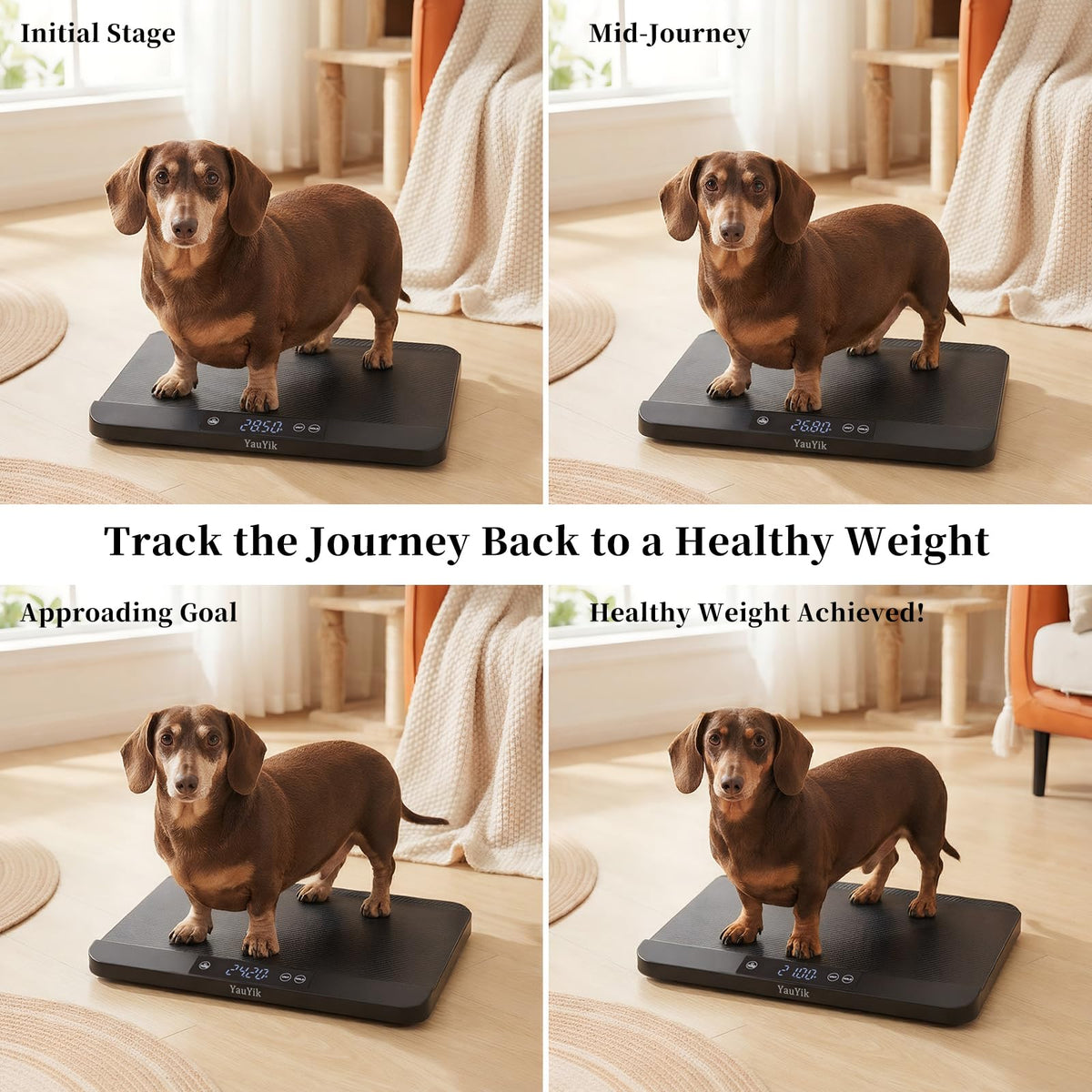 Digital Pet Scale with Non-Slip Mat, Up to 88lb, Black K351891