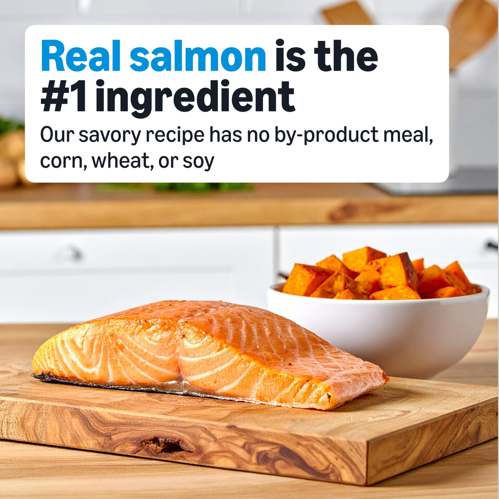 Grain Free Salmon & Sweet Potato Dry Dog Food 24 lb Bag P494131