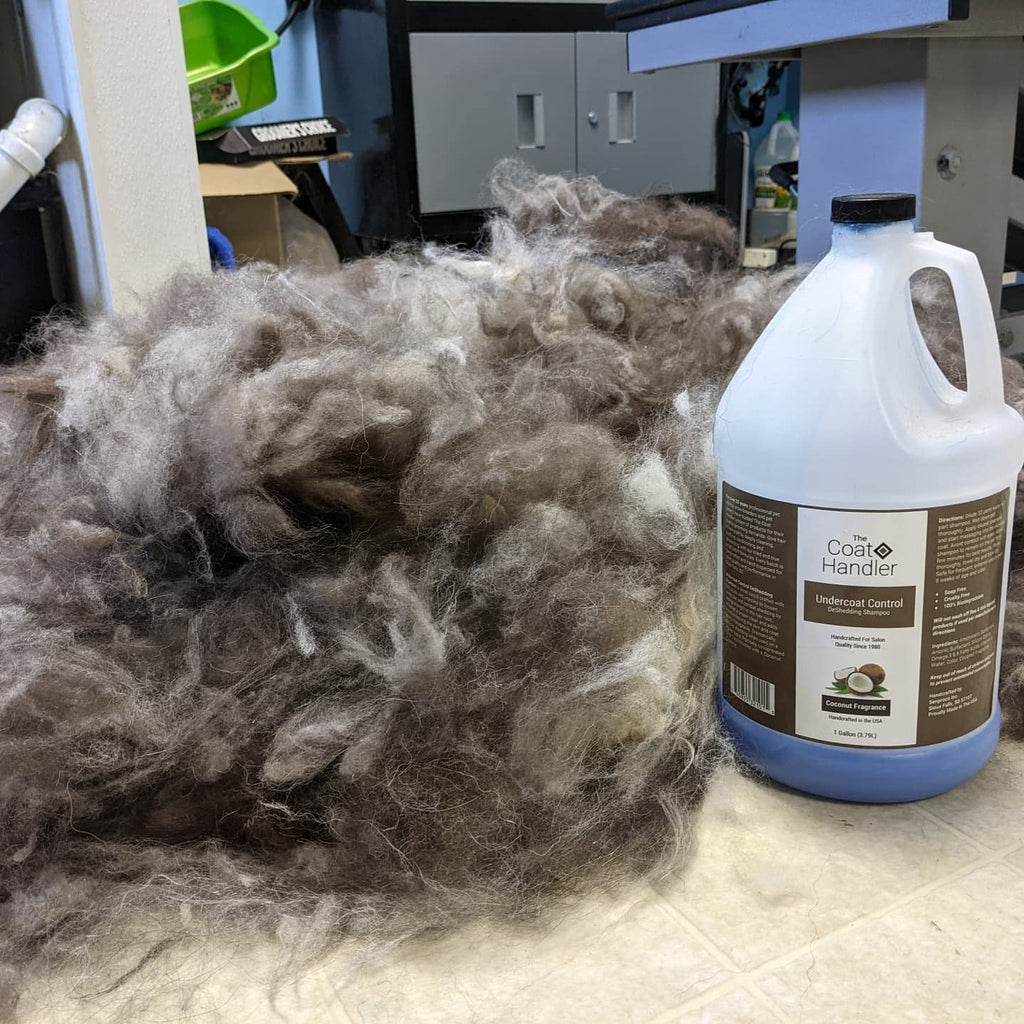 1 Gallon Deshedding Dog Shampoo Z781