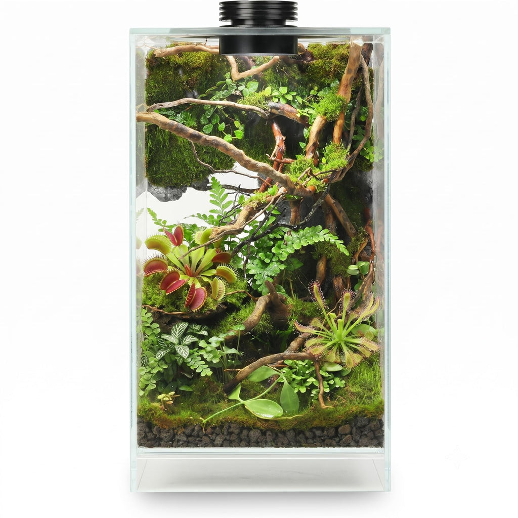 Glass Plant Terrarium with Grow Light J7051
