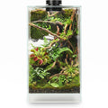 Glass Plant Terrarium with Grow Light J7051