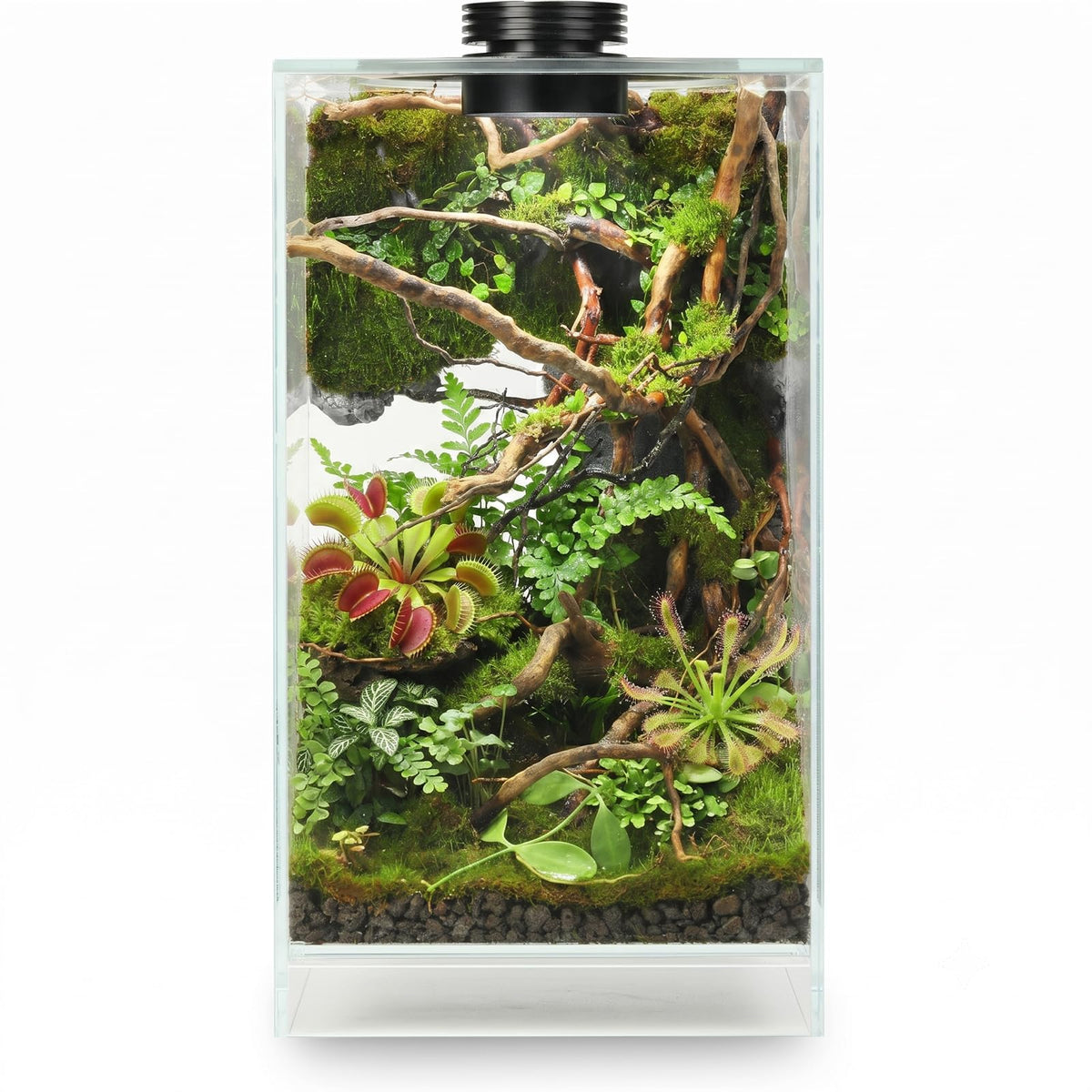 Glass Plant Terrarium with Grow Light J7051