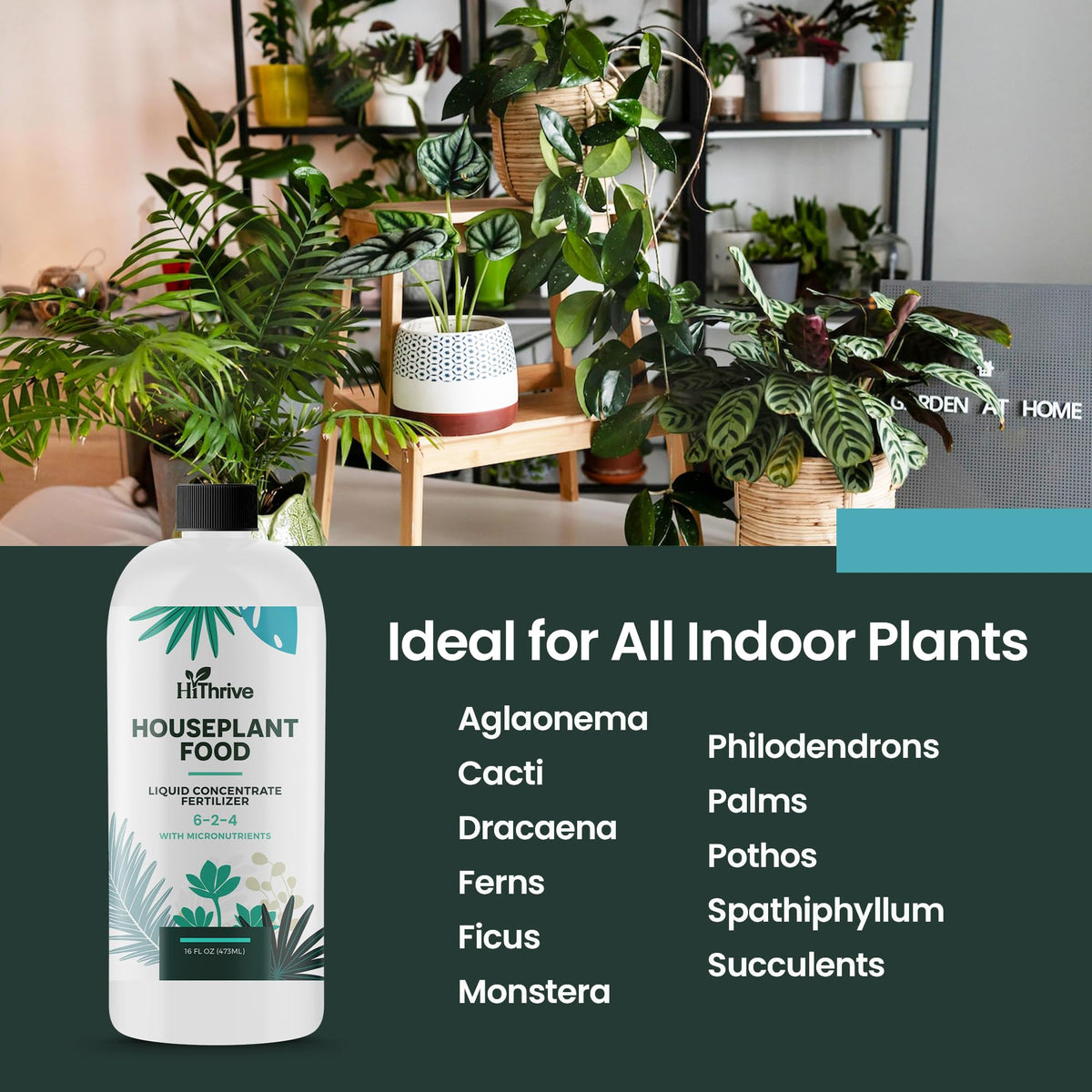 16oz All Purpose Concentrated Indoor Plant Fertilizer 6-2-4 NPK Z247749