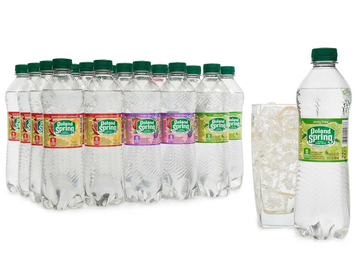 Sparkling Natural Spring Water Variety Pack 24 Half Liter Bottles L29686