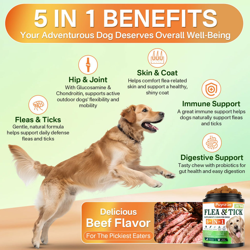 Flea and Tick Prevention for Dogs Chew F249