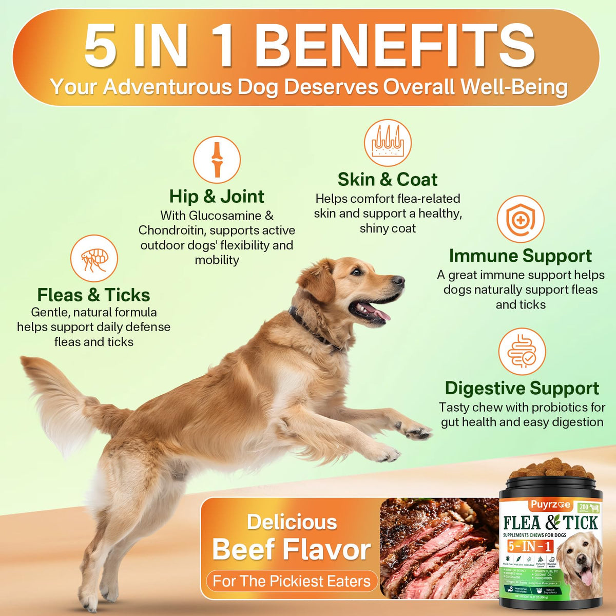 Flea and Tick Prevention for Dogs Chew F249