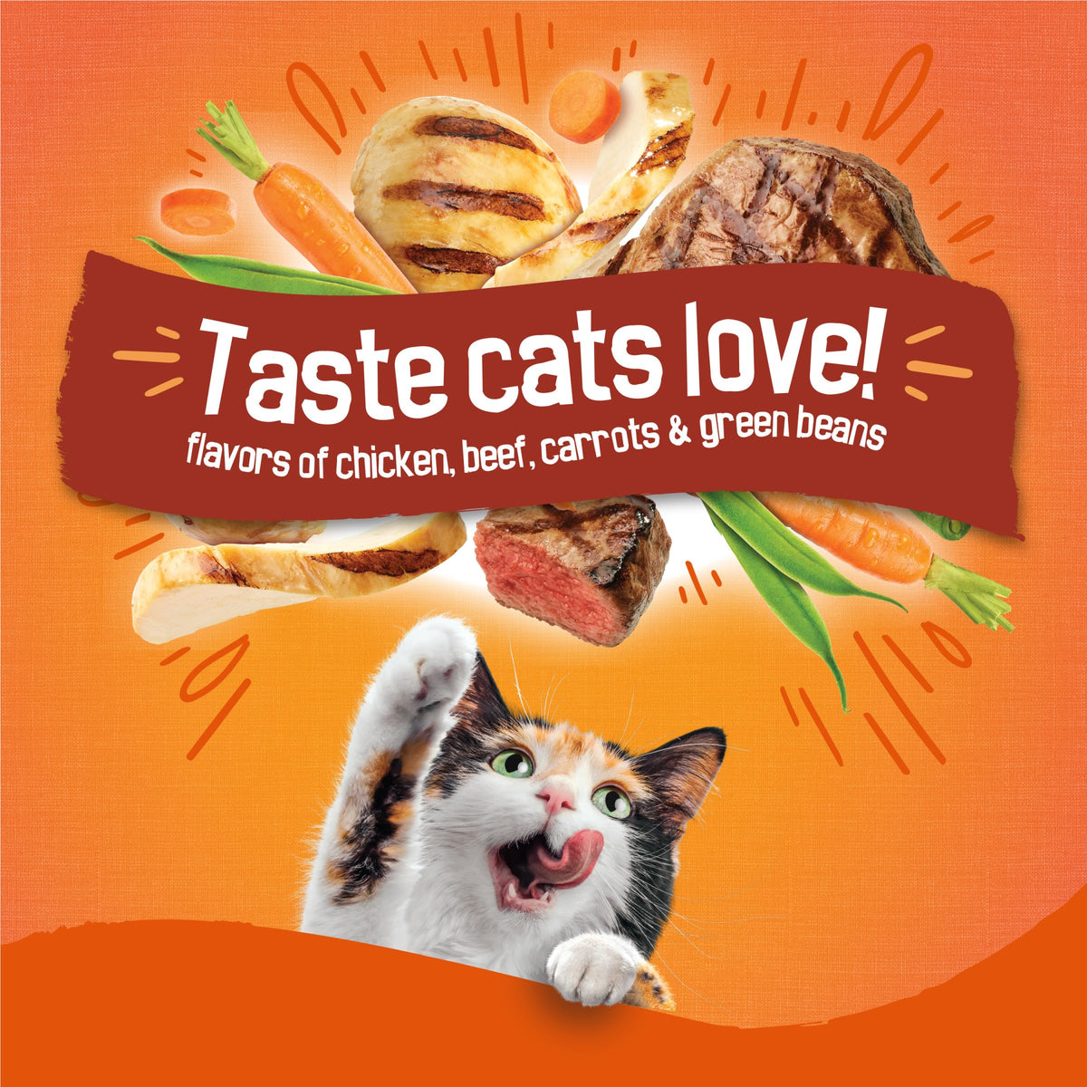Dry Cat Food 16 lb Bag K1095
