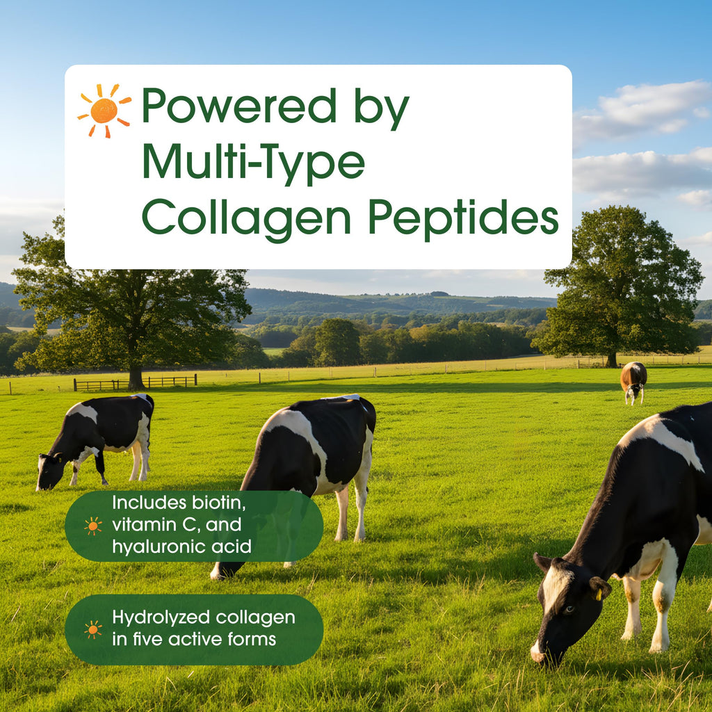 Hydrolyzed Collagen Peptides Protein Powder 600g Unflavored Q402
